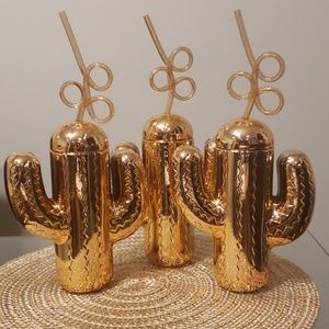 NEW! Rose gold cactus water bottles